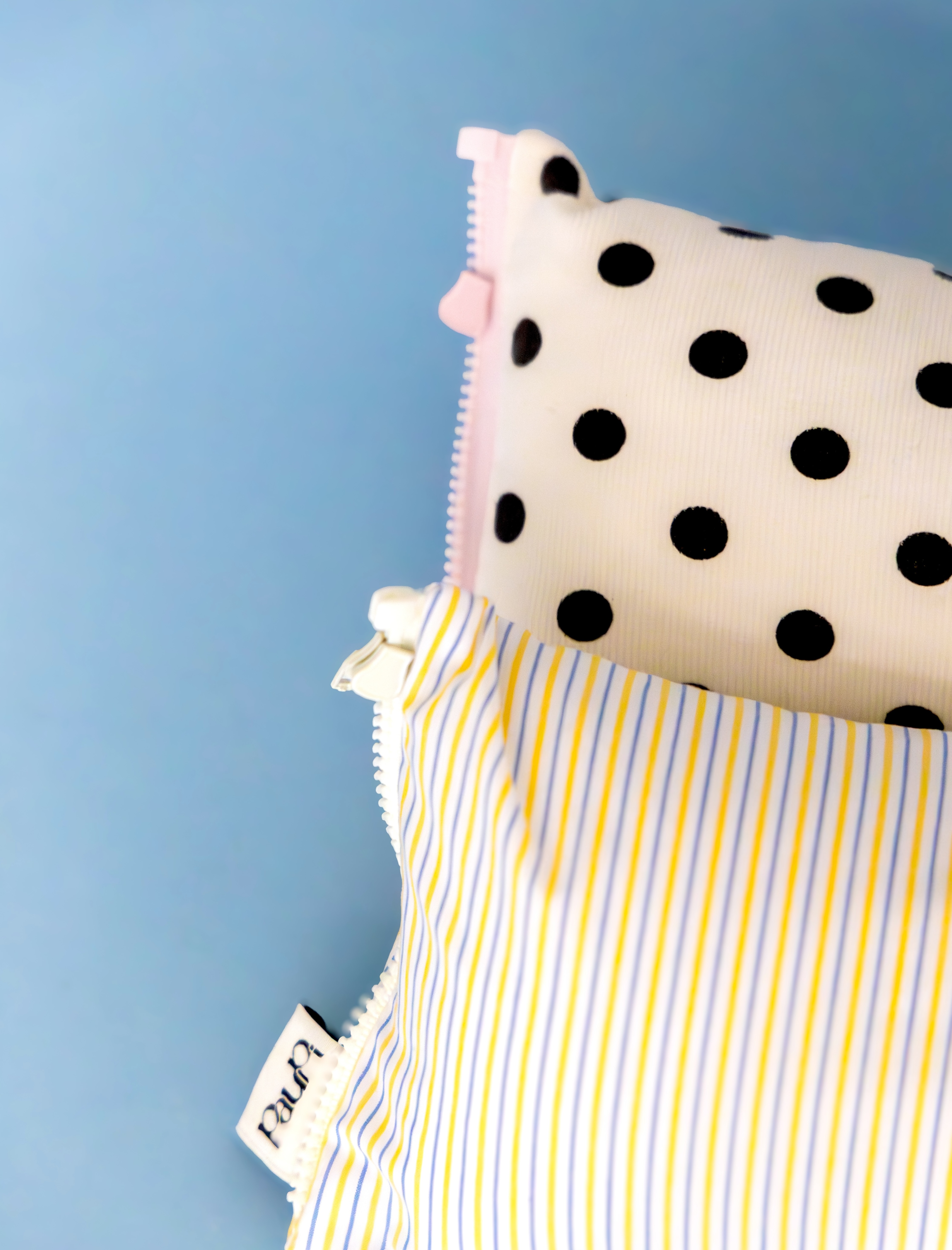 Paupi brand identity